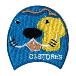 castor con paletas