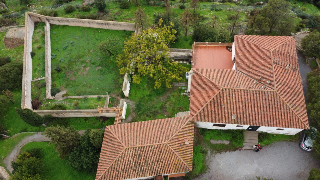 dcim100mediadji 0206.jpg